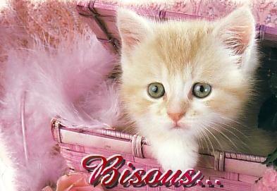 Bisous