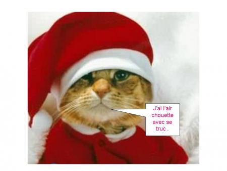chat pre noel 