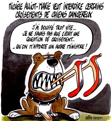 Chien crois