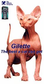 Gilette 
